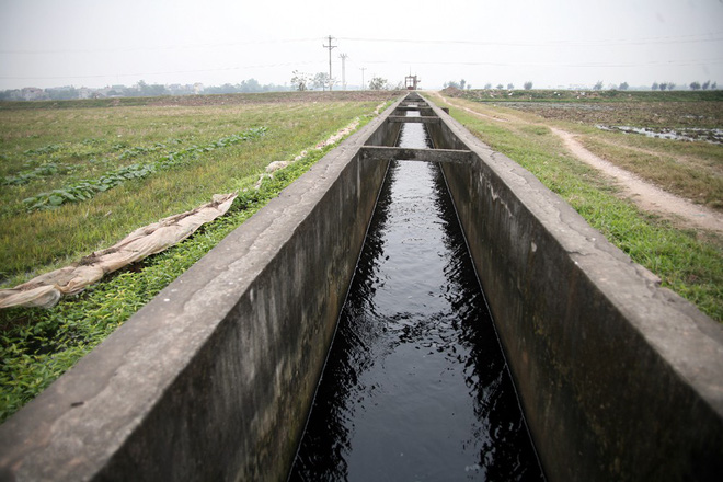 Hà Nội: Nước ô nhiễm nặng, bốc mùi nồng nặc vẫn phải bơm lên tưới cho hoa màu